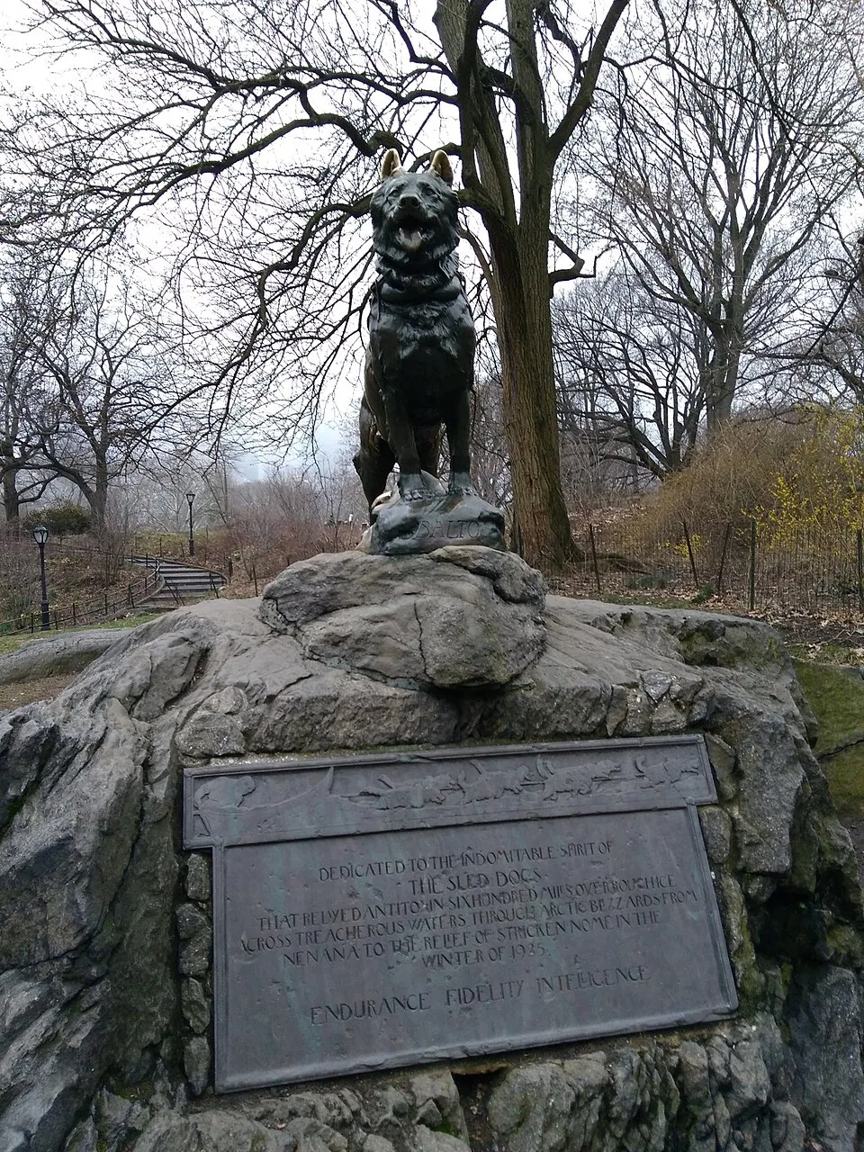 The bronze statue of Balto the sled dog on a rock in Central Park, with its plaque below